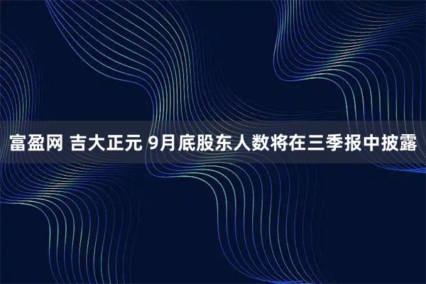 富盈网 吉大正元 9月底股东人数将在三季报中披露