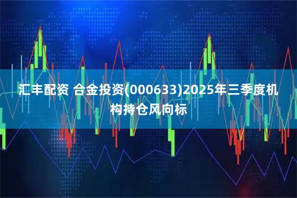 汇丰配资 合金投资(000633)2025年三季度机构持仓风向标
