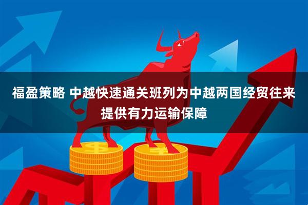 福盈策略 中越快速通关班列为中越两国经贸往来提供有力运输保障