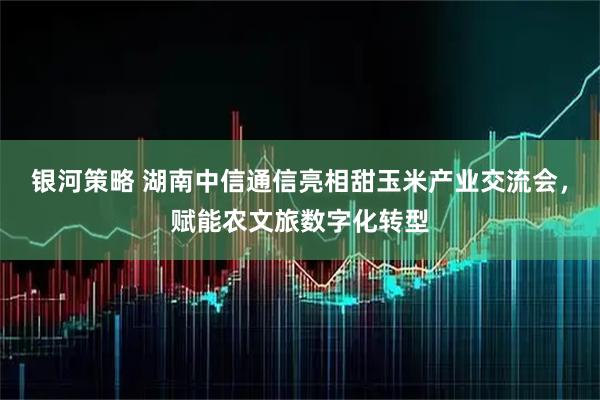 银河策略 湖南中信通信亮相甜玉米产业交流会，赋能农文旅数字化转型