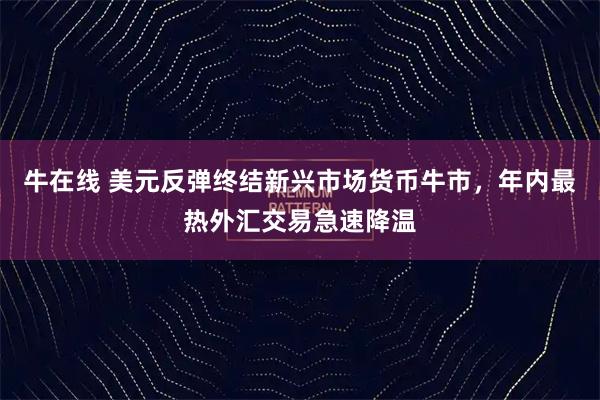 牛在线 美元反弹终结新兴市场货币牛市，年内最热外汇交易急速降温