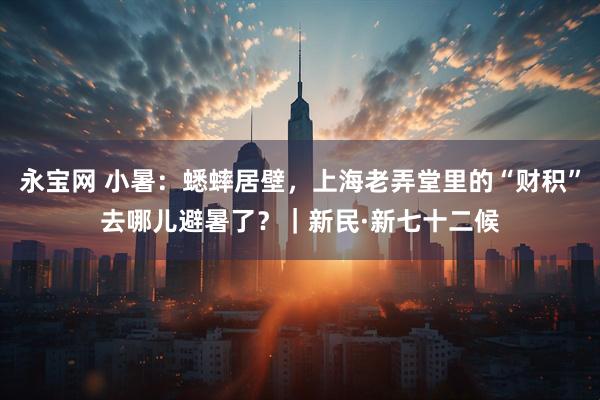 永宝网 小暑:蟋蟀居壁,上海老弄堂里的“财积”去哪儿避暑了?|新民·新七十二候