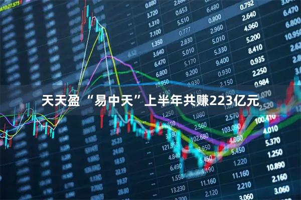 天天盈 “易中天”上半年共赚223亿元